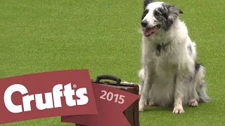 Freestyle Heelwork to Music Competition | Crufts 2015