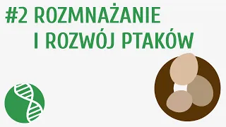 Rozmnażanie i rozwój ptaków #2 [ Ptaki ]