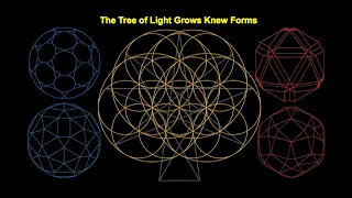 The Sacred Geometry of The Tree of Light:The Next Level of Platonic and Archimedean Solids