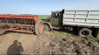 📍Посівна гороху 🚜але сівалка не витримала⁉️, бахнуло немножка 🤣