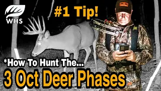 #1 October Deer Hunting Tip