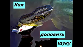 Как доловить щуку