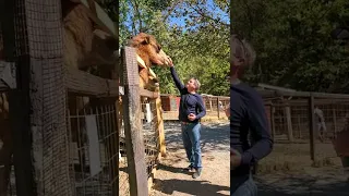 Camel Accidently Bites The Man || PETASTIC 🐾