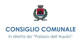 Consiglio Comunale del 11/08/2022