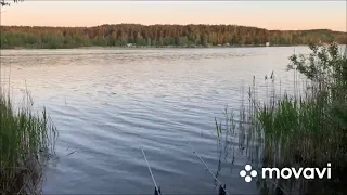 Mercury 3.5 рыбалка Минское море 2020🎣