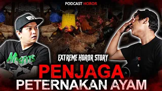 CERITA PENJAGA PETERNAKAN AYAM KAMPUNG TERSERAM