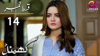 Ghamand - Episode 14 | Aplus Dramas | Noman Ejaz, Sunita Marshall, Sadaf | Pakistani Dramas | CG11