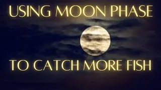 Using moon phase to catch more fish. Understand moon phases.