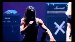 Iggy Pop - Real Wild Child (Live at the Avenue B ,Belgium)