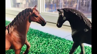 Stitches, Schleich horse music video.