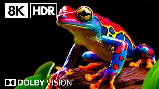 The Esoteric World By 8K HDR  Dolby Vision™