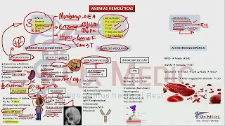 Mapas mentales - Anemia 2