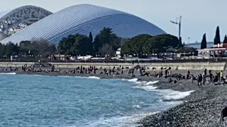 28.03.2021. Погода в Сочи в марте. Смотри на Чёрное море каждый день.