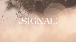 Silent Planet - :Signal: (Official Footage)