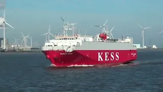 Überfahrt Borkum bei strahlendem Wetter