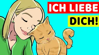 12 Garantierte Liebesbeweise Deiner Katze