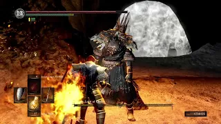DARK SOULS  - Gwyn, Lord of Cinder Boss Fight - Parry Only