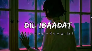 DIL IBAADAT - SONG || Slowed + Reverb || Use Headphone || @DALOFI001