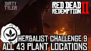 RDR2 All Plant Locations - Herbalist Challenge 9 - Red Dead Redemption 2 Guide