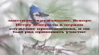 Овцы среди волков. Часть 1