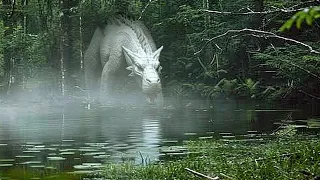 Esto Fue Grabado en la Selva Amazónica y Nadie lo Puede Creer 😨