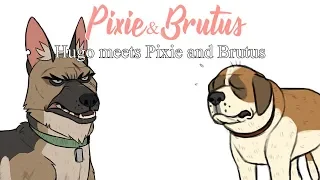 Pixie and Brutus meeting Hugo | Pixie and Brutus Comic Dub