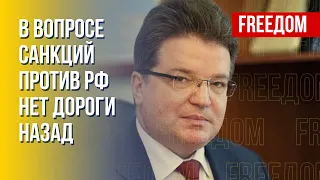 Что внесут в 8-й пакет санкций ЕС. Падение экономики РФ. Мнение Плотникова