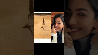 Rashmika Mandanna React's #shorts#celebrityreactions