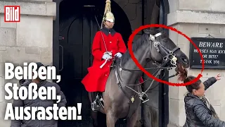 Vor Buckingham-Palace: Pferd rastet aus