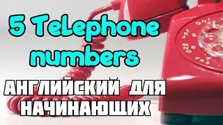 Telephone Number. Английский для начинающих. Числа на английском