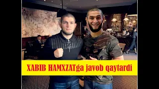 XABIB HAMZATga javob qaytardi!