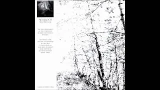 Agalloch - The White (Full EP)