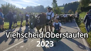 Viehscheid Oberstaufen 2023 - Alpabtrieb im Allgäu