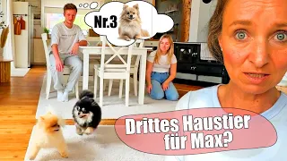 Max verrückter Hundewunsch 🥳 3. Haustier ?🤪 marieland TipTapTube Mama Life Vlog