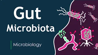 Human Gut Microbiota | Human Health | Basic Science Series