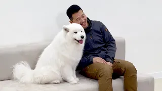 [Behind the Scenes] Wooyoo meets the most FAMOUS dog trainer in Korea!