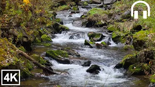 Relax with the sound of the river for 3 hours