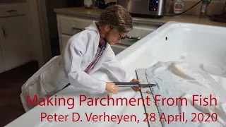 Making Parchment From Fish Skin
