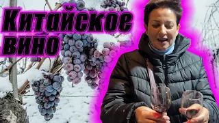 Винный завод в Китае. Мишань. Ледяное вино.Chinese wine