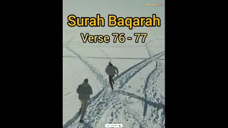 Surah Baqarah Verse 76-77 Heart Touching Quran Recitation | Urdu Quran WhatsApp Status | Pre Caution