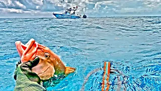 Sara Saved the Day! Grouper Speared! (Catch/Clean/Cook)