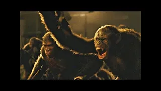 Battle Scene (Part 1) | Dawn of the Planet of the Apes (2014)#LOWI