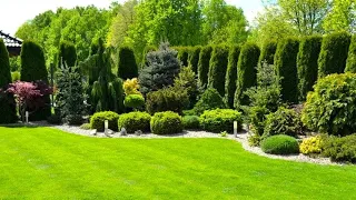 Примеры творческого обустройства сада / Examples of creative garden arrangements