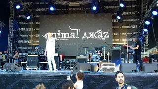 Animal Джаz - Как дым (к сожалению, не с самого начала)