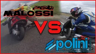 ZIP SP MALOSSI VS POLINI | TEAM vs BIG EVOLUTION (RAW ONBOARD)