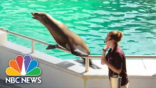 Inside The Oklahoma City Zoo Helping Guests With Hearing Loss | Nightly News: Kids Edition