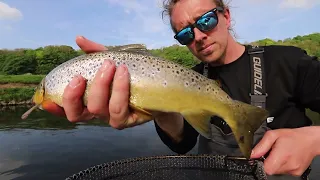 Small river dry fly fishing for wild brown trout,  In the north of England!