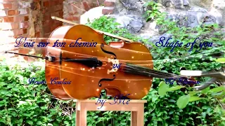Cello Loop shape of you/vois sur ton chemin (Les Choristes)