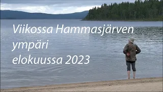 Viikossa Hammasjärven ympäri elokuussa 2023