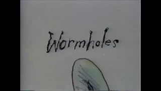 Stephen Hillenburg - Wormholes